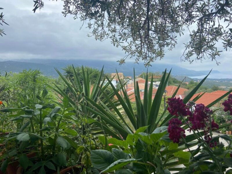 argostoli-and-beyond-a-journey-through-villages-2