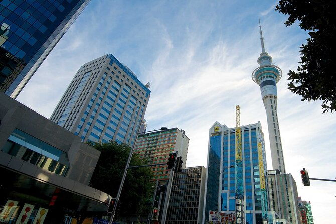 Arrival Private Transfer from Auckland Airport AKL to Auckland in Business Car - FAQ