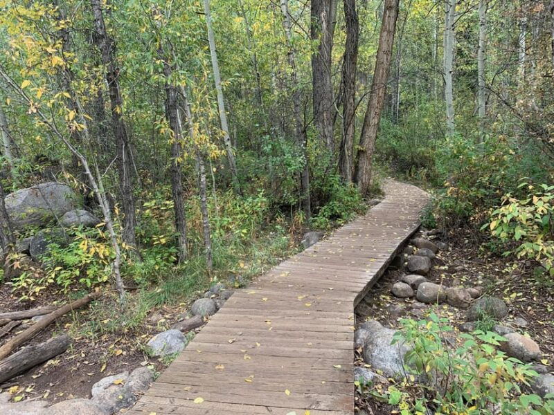 aspen-guided-light-hike-with-roaring-fork-river-views
