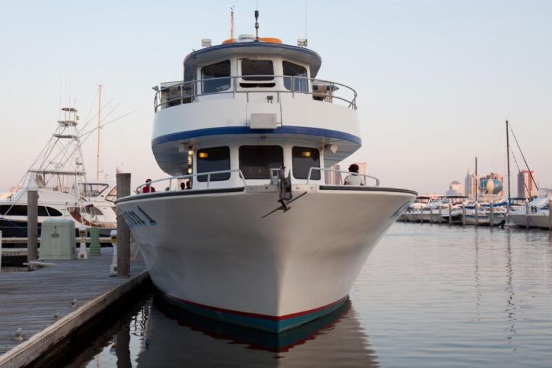 atlantic-city-dolphin-watching-ocean-cruise-adventure