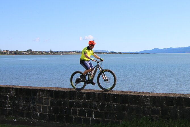 Auckland Half Day E-Bike Excursion - Who Should Book This Tour?