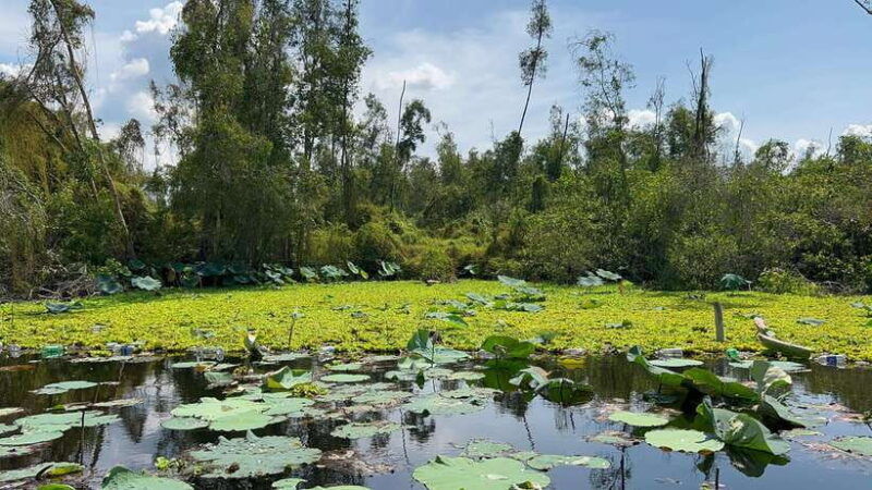 authentic-mekong-delta-private-tour-none-tourist-shopping