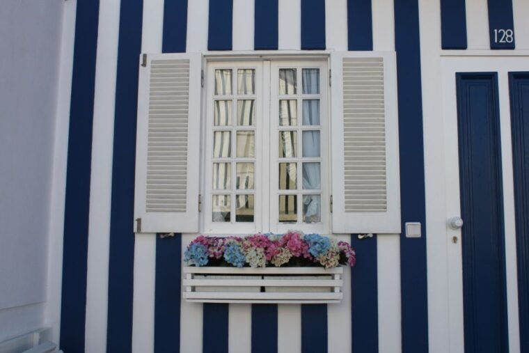 aveiro-half-day-tour-with-boat-ride
