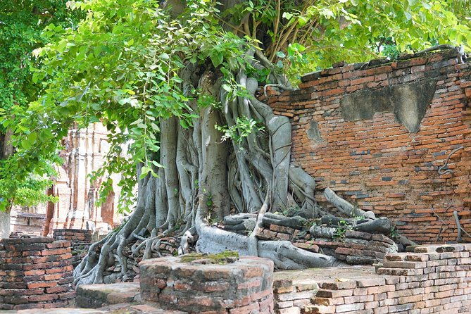 Ayutthaya Evening Tour with Dinner - Final Thoughts