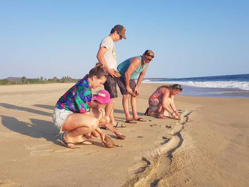 baby-sea-turtles-release-in-puerto-escondido