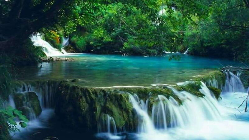bach-ma-national-park-hiking-day-trip-with-pickup-from-hue