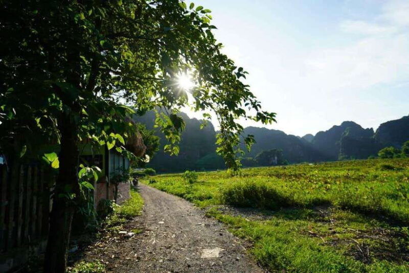 bai-dinh-trang-an-mua-cave-full-day