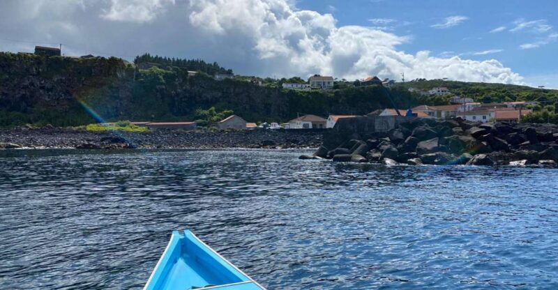 baleen-memory-unforgettable-ride-in-the-waters-of-pico