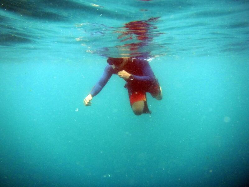 bali-1-hour-snorkeling-at-nusa-dua-beach