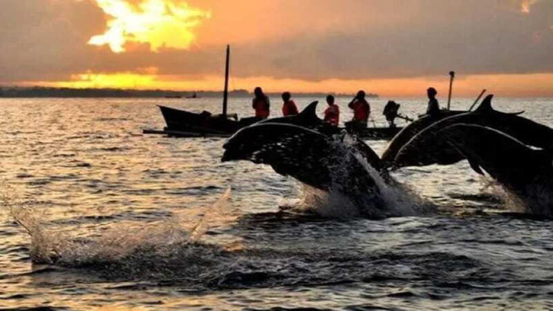 bali-3-day-north-bali-tour-with-dolphin-watching