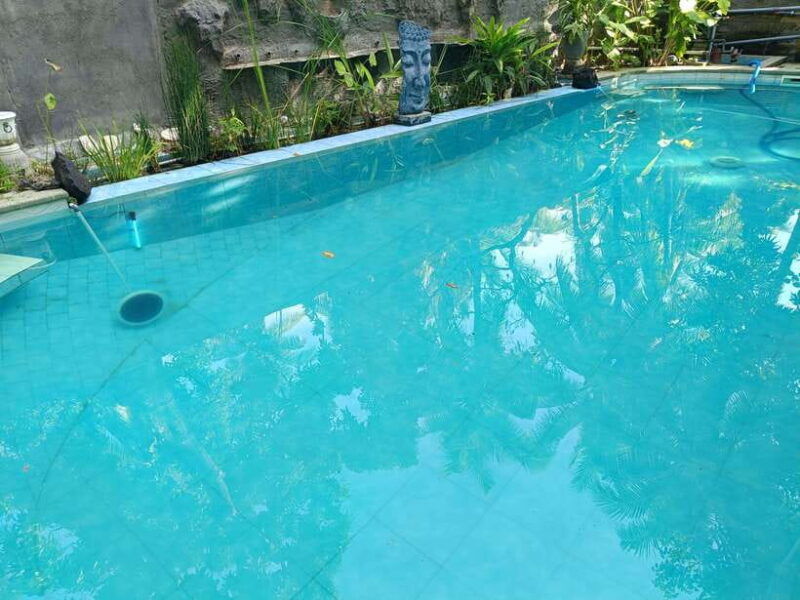bali-5-day-north-bali-coastal-wine-dolphin-tour-package