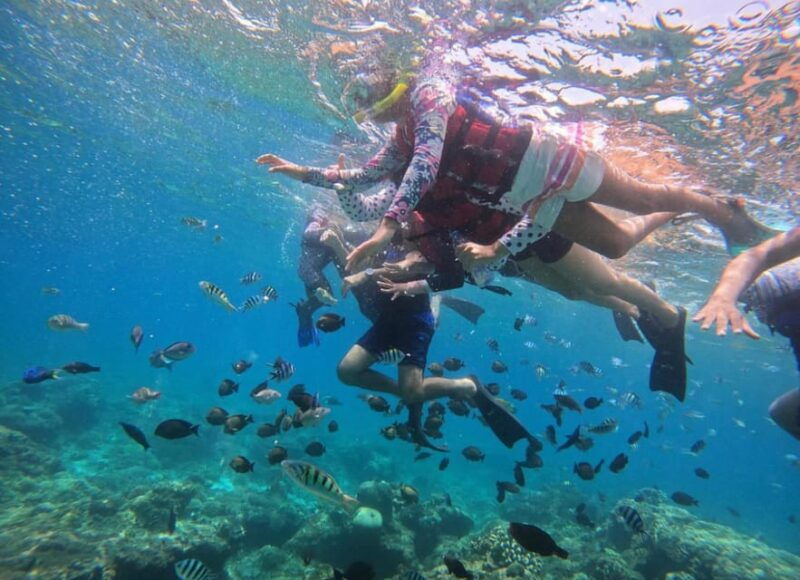 bali-blue-lagoon-snorkeling-tour