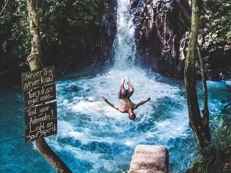 bali-dolphin-watching-aling-aling-waterfall-and-coffee