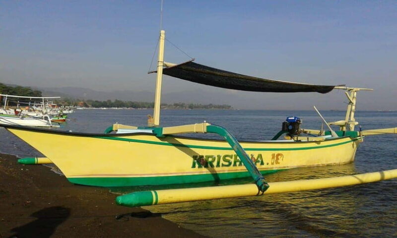bali-dolphin-watching-waterfall-wanagiri-and-ulun-danu