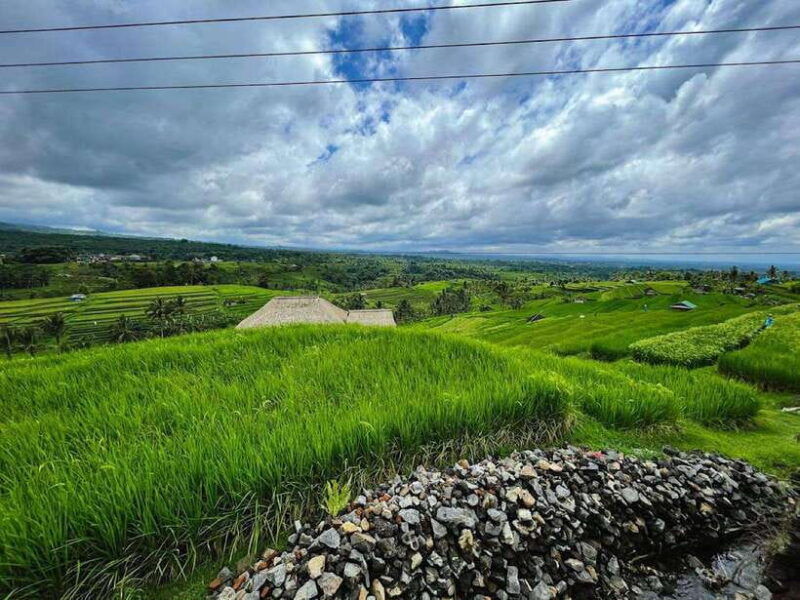 bali-explore-north-bali-customized-day-tour