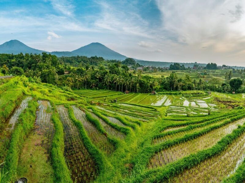 bali-family-friendly-tour-temple-botanical-park-unesco