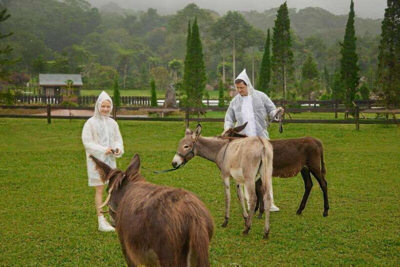 bali-farm-house-experience-with-entry-ticket-options