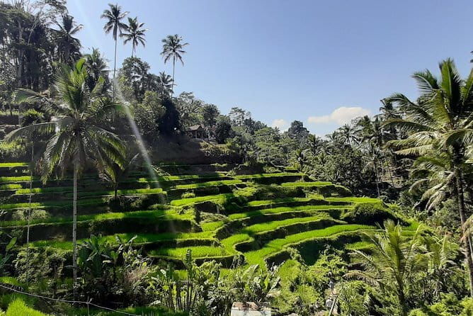 Bali Fishing Trip Private Boat - Authentic Experiences: What Travelers Love