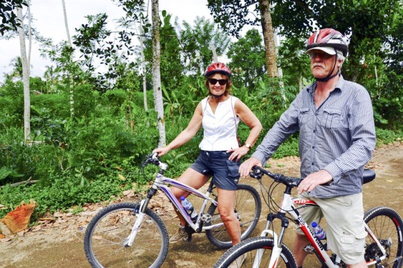 bali-jatiluwih-rice-terraces-1-hour-electric-bike-tour
