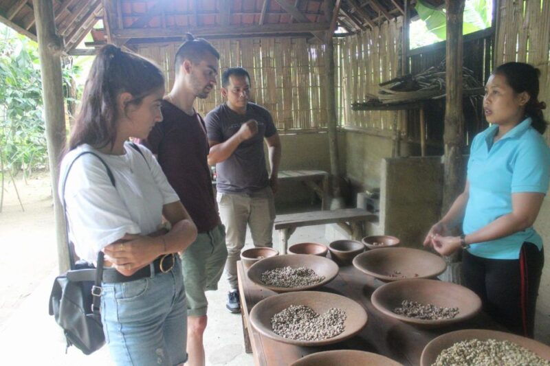 bali-kintamani-downhill-bike-tour-local-culture-insights