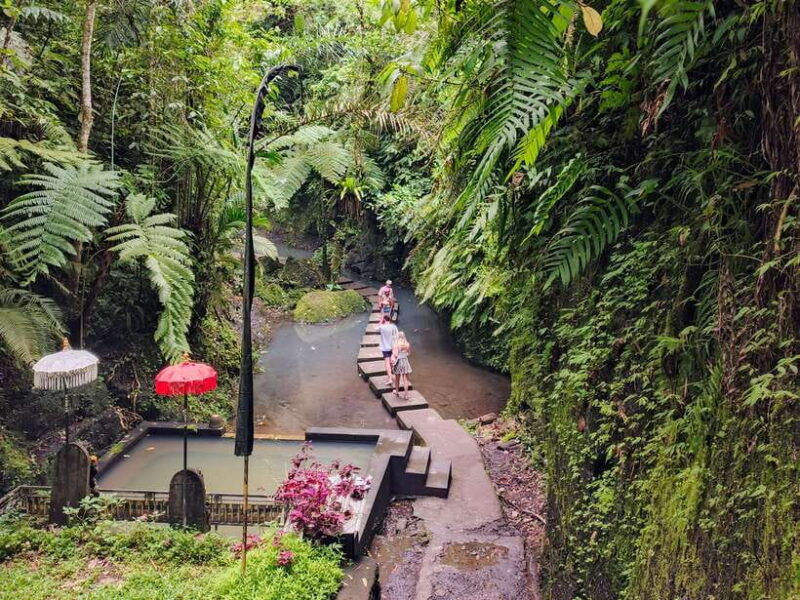 bali-kintamani-tegalalang-and-coffee-plantation-tour