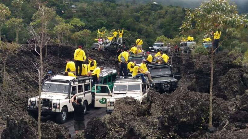 bali-land-rover-jeep-tour-kintamani-ubud-swing