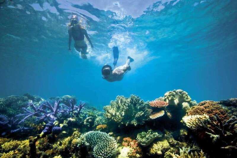 bali-lovina-dolphin-snorkeling-swimming-waterfall-tour