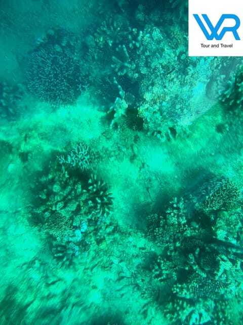 bali-lovina-dolphin-swim-snorkeling-2-destination-stop