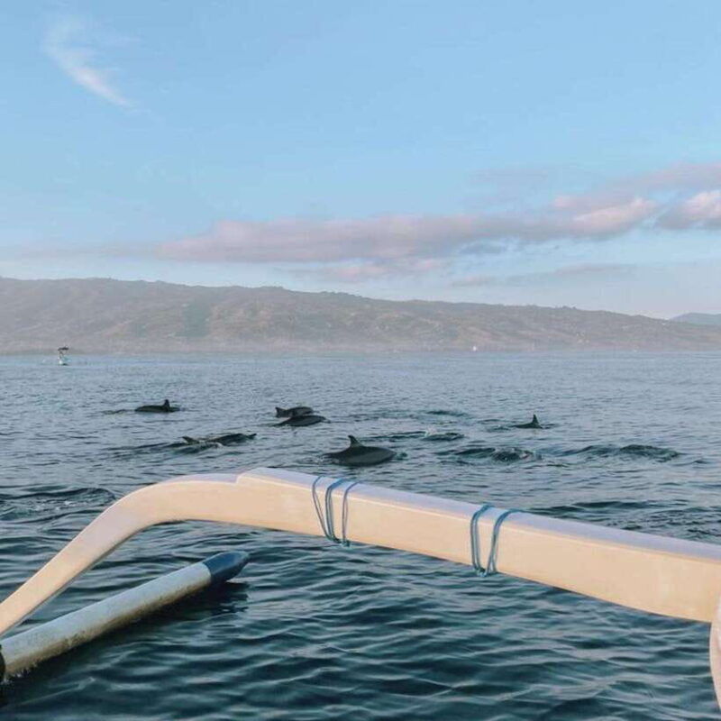 bali-lovina-dolphin-tour-watching-sunrise