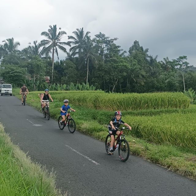 bali-natural-downhill-cycling-tour-and-visit-batur-volcano