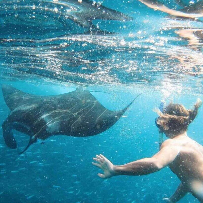 bali-nusa-penida-manta-snorkeling-tour-beach-club-access