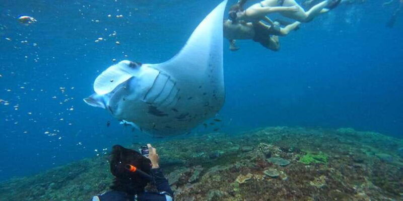bali-nusa-penida-tour-with-lunch-manta-point-snorkeling