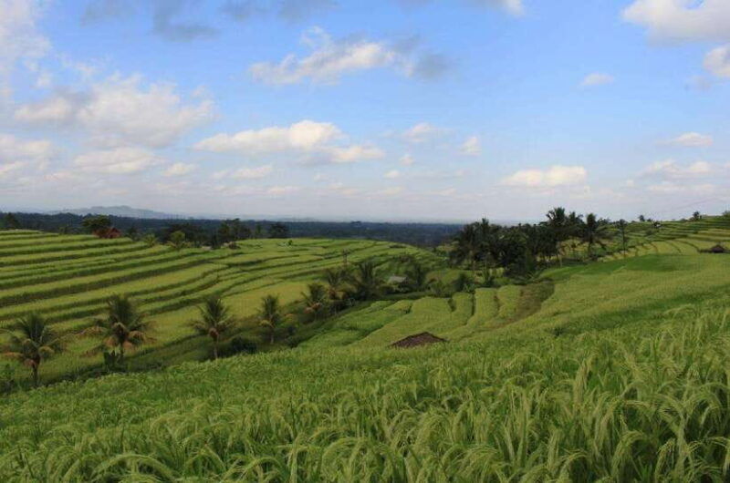 bali-private-unesco-world-heritage-sites-tour
