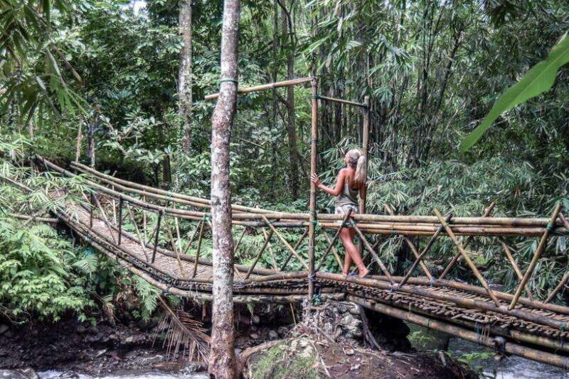 bali-private-waterfall-tour-with-lunch-and-hotel-pickup
