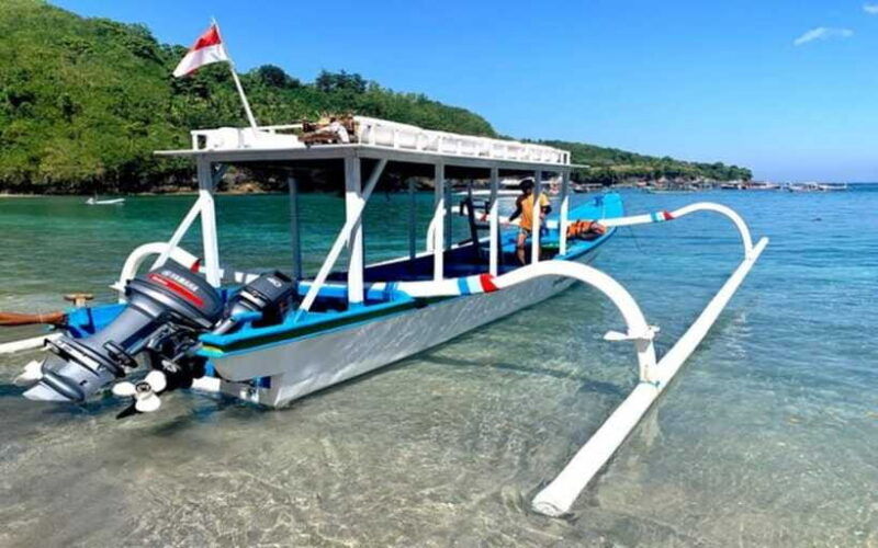 bali-snorkeling-at-blue-lagoon-and-tanjung-jepun-with-lunch