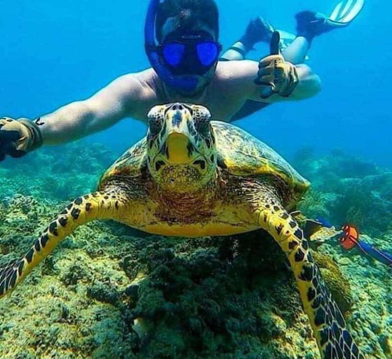 bali-snorkeling-at-two-spots-with-lunch-and-transport