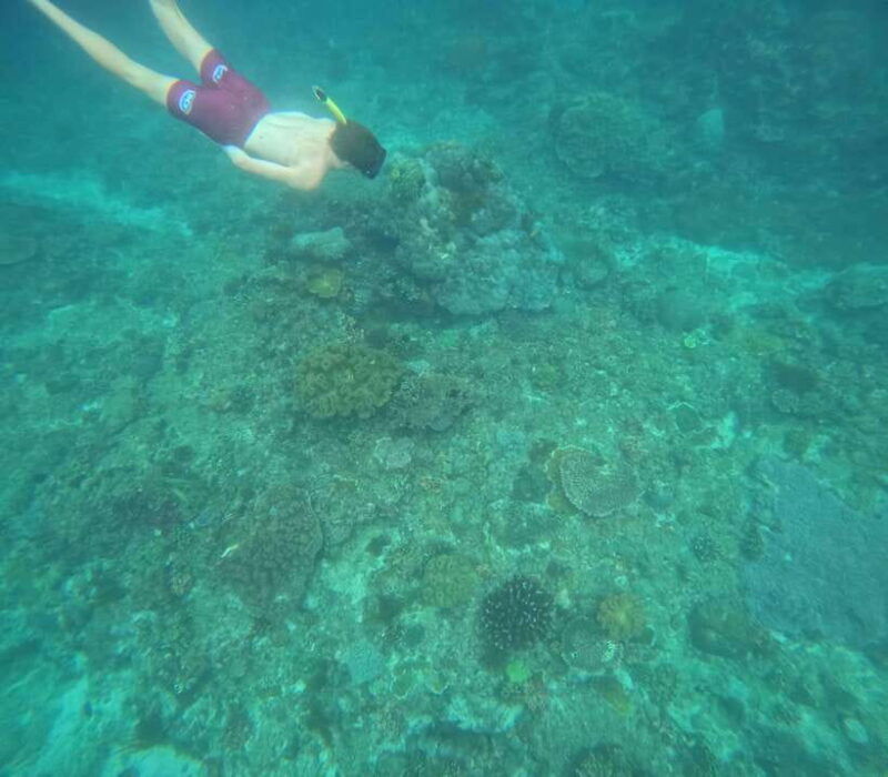 bali-snorkeling-experience-in-blue-lagoon-and-tanjung-jepun