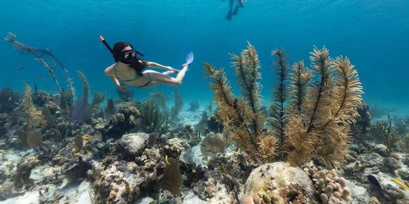 bali-snorkeling-on-2-spots-with-lunch-and-transport
