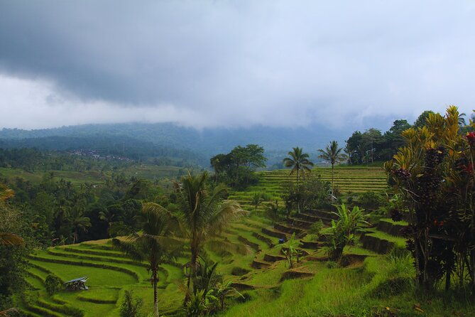 Bali Spiritual: Blessing Ceremony, Pristine Nature and Transfer - FAQ