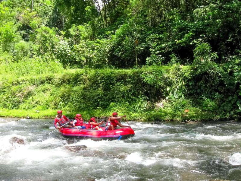 bali-telaga-waja-white-water-river-guided-rafting-lunch
