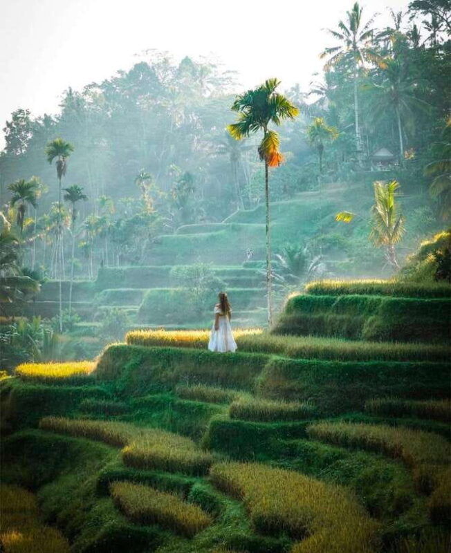 bali-temples-waterfall-and-rice-terrace-guided-tour