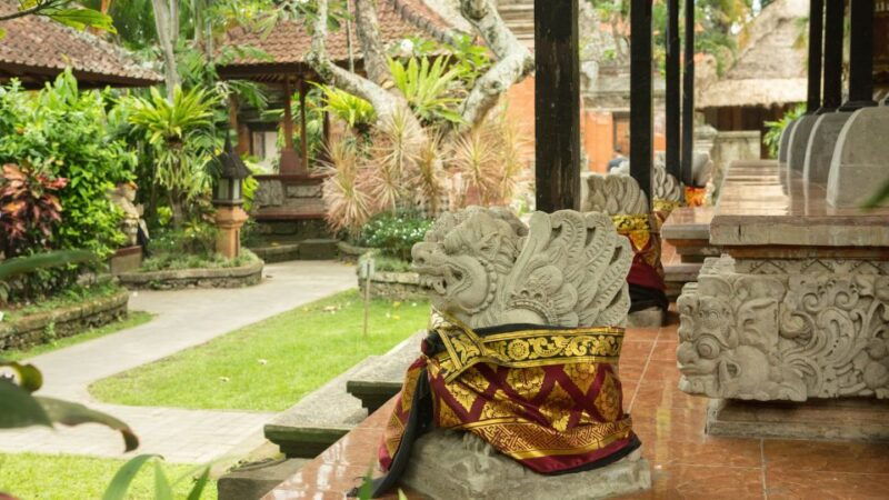 bali-ubud-monkey-forest-private-tour-luxury-car