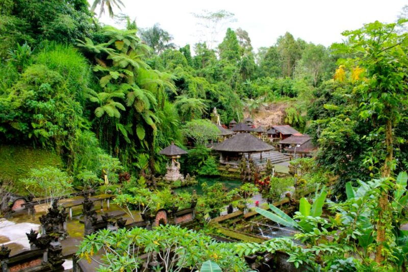 bali-ubud-rice-terraces-temples-and-volcano-day-trip
