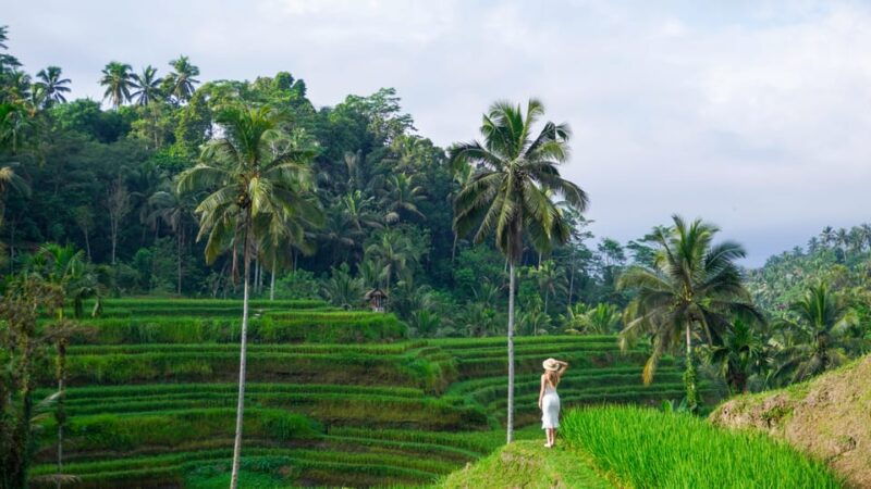 bali-waterfalls-rice-terrace-swing-with-photographer