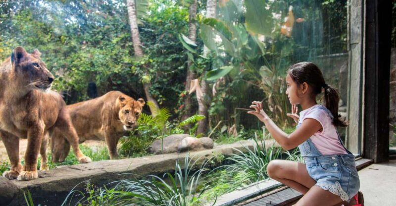 bali-zoo-entrance-ticket