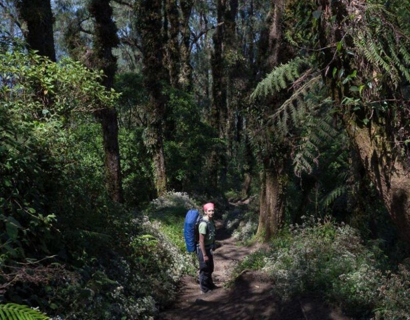 balis-mount-abang-expedition-guided-hike