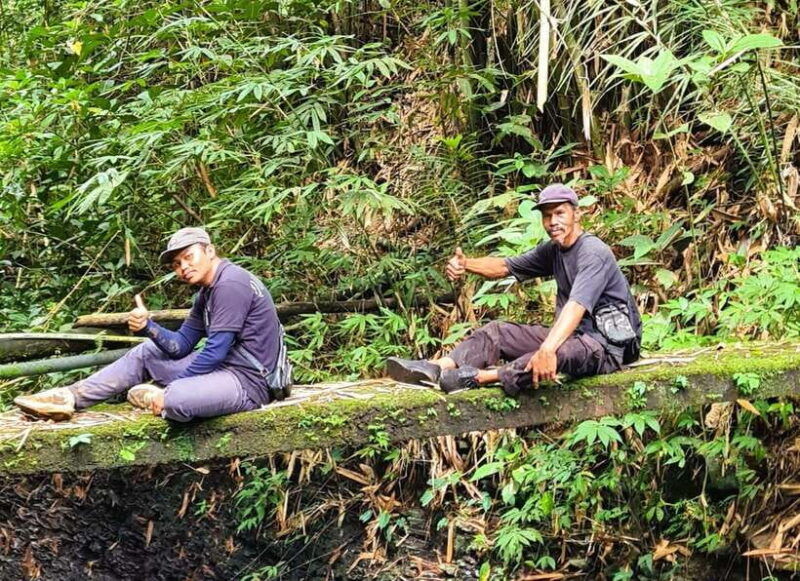 balis-mystical-jungle-trek-hidden-waterfall-adventure