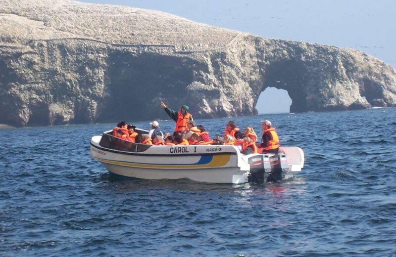 ballestas-islands-tour-3