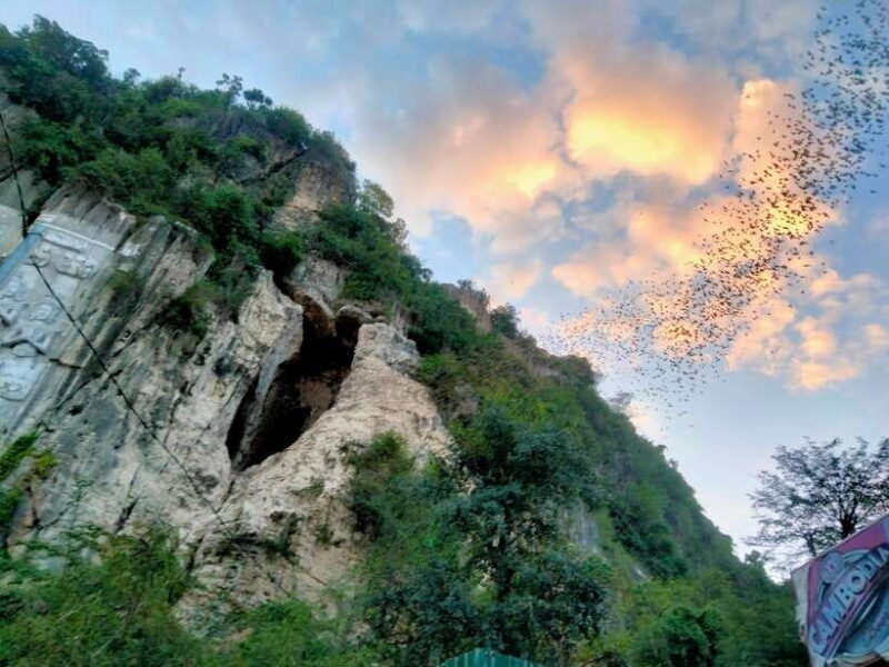 bamboo-train-banann-temple-fruit-bat-bat-cave-sunset