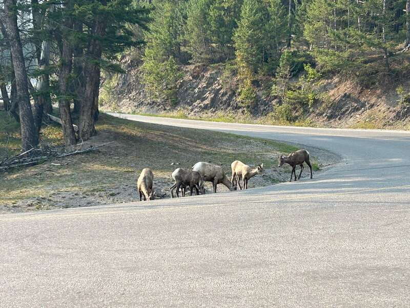 banff-calgary-private-tour-of-banff-and-yoho-national-parks